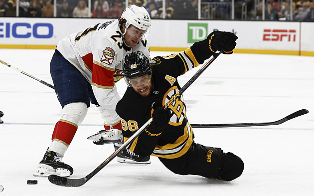 Pastrňák se Zachou byli u dvou gólů, Nečas dal gól Vejmelkovi