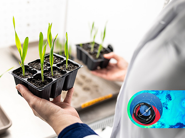 Spolu s Alešem Svobodou poletí do vesmíru i české zařízení na výzkum ječmene