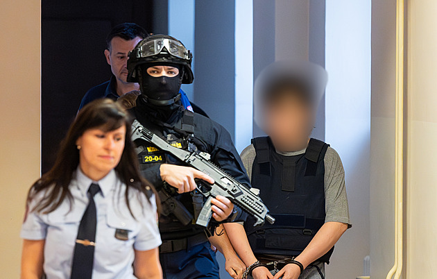 Pasťák, vězení, nebo detence? Co čeká mladistvého vraha prodavaček z Hradce