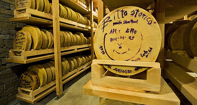 Příběhy slavných sýrů. Roztoči na povrchu, zákaz v metru a proč je nejdražší tak drahý