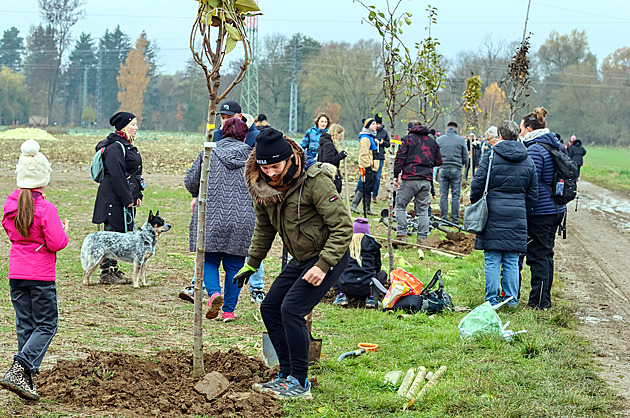 Olšovský se rozloučil s plzeňský divadlem, s herci podél Mže vysázel Muzikálovou alej