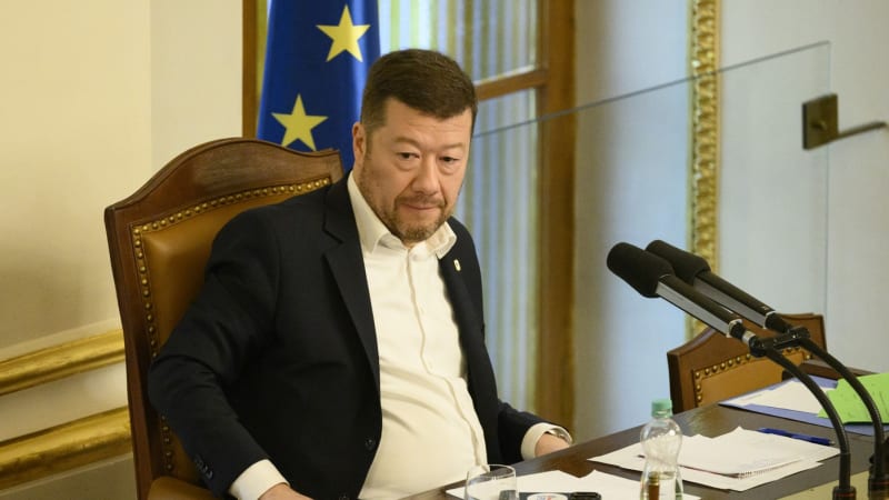 Experti SPD, nebo koně Babiše? Okamura i David popírají spekulace o ministerských kandidátech