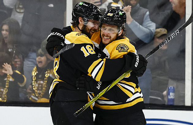 Trápení Čechů v Bostonu nebere konce, chybět budou i zranění Pastrňák se Zachou