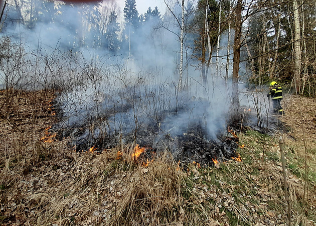 Na Žďársku hoří les. Platí druhý stupeň poplachu