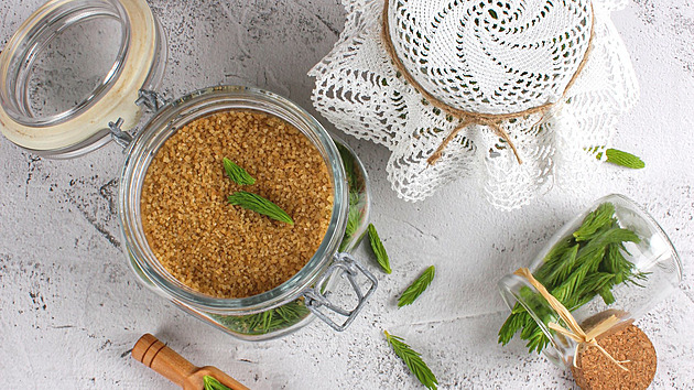 Smrkový sirup za tepla i za studena: Jak ho připravit a proč by neměl chybět v lékárničce