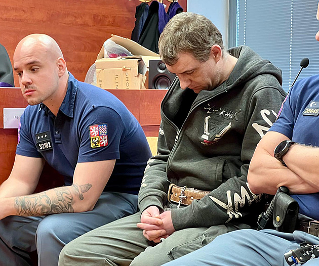 Tyran ze Siřemi dostal 15 let vězení. Je to nebezpečný sadista, míní znalci